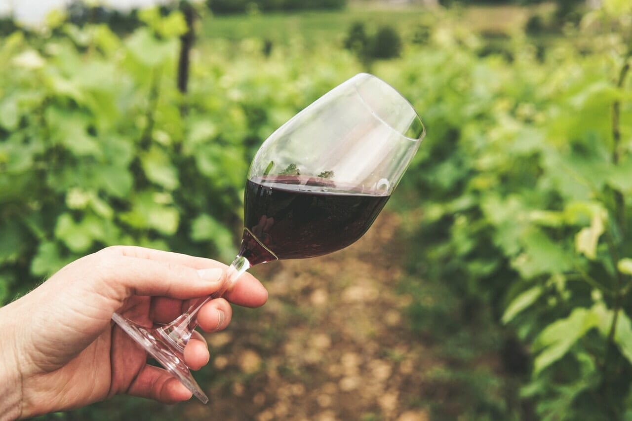 Comment faire un investissement dans le vin